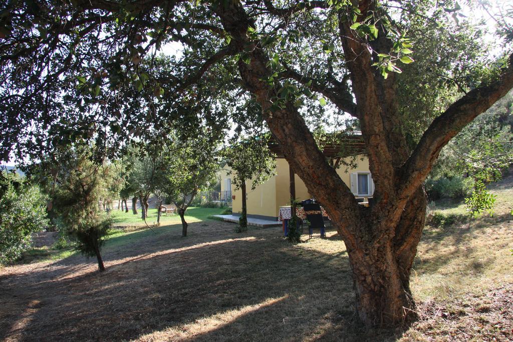 Agriturismo S'Arxola Villa Теулада Екстериор снимка